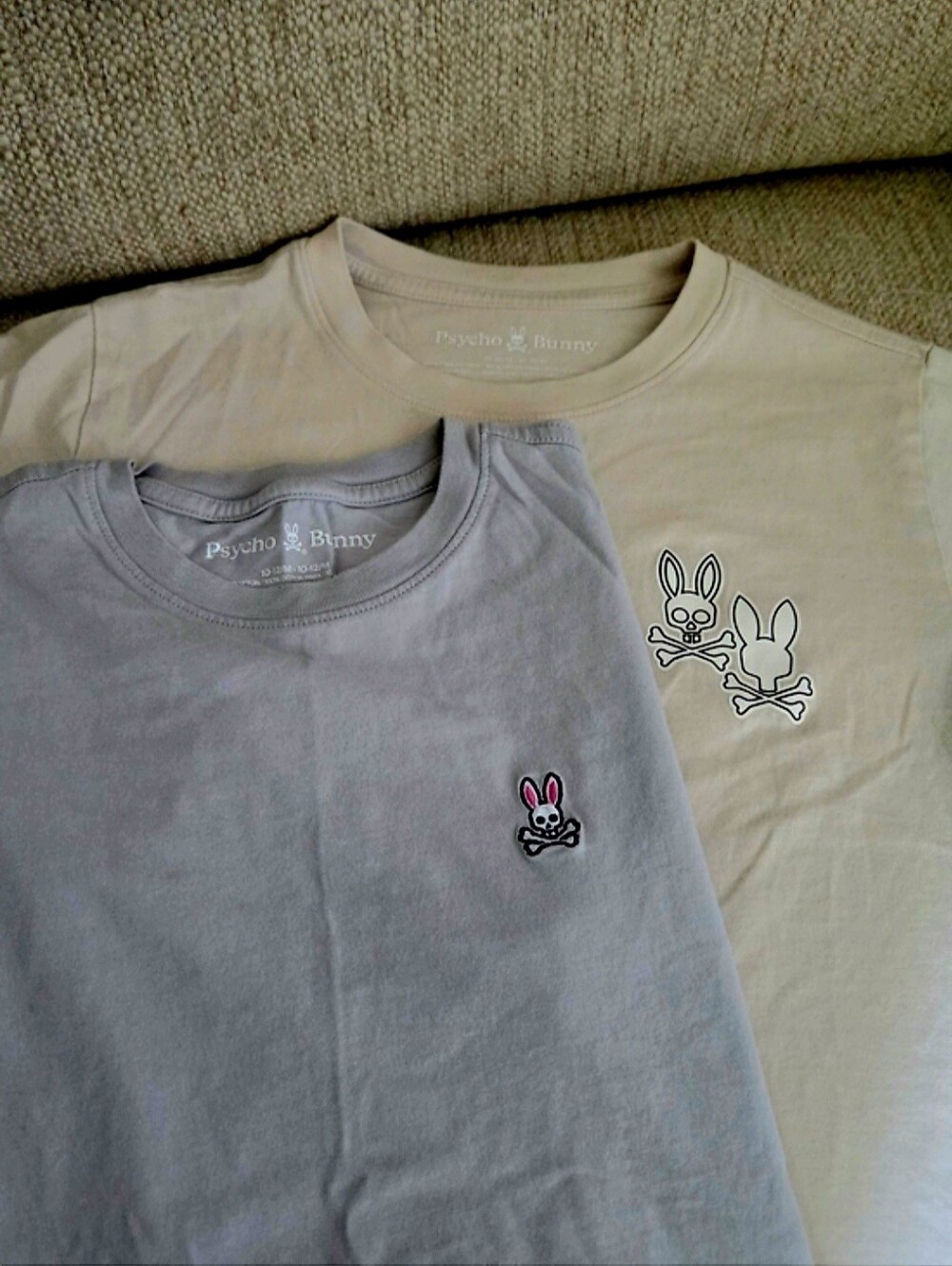 2 Psycho Bunny Logo Boys Tee Pair in Light Gray and Cream